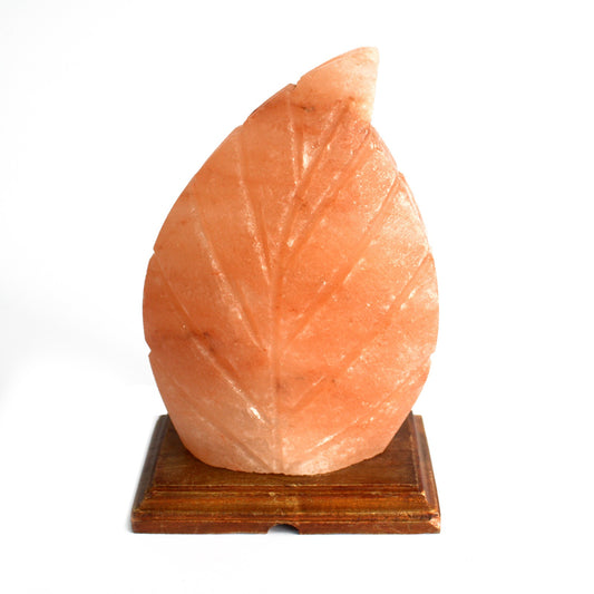 Close up image of fern shaped salt lamp with wooden base