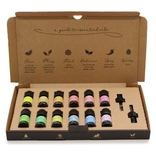 A box containing a variety of 12 different essential oils in 5ml bottles and 2 droppers, representing our Aromatherapy Essential Oil Set.- Starter selection