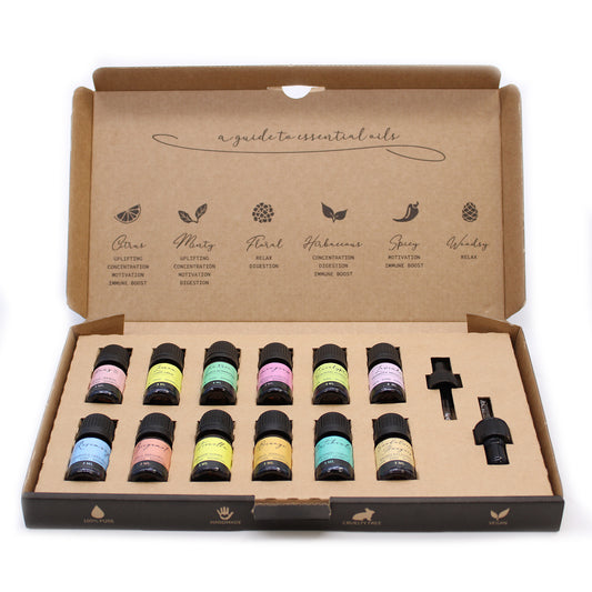 A box containing a variety of 12 x 5ml essential oils and 2 droppers - Top 12 selection