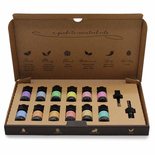 A box containing a variety of 12 different essential oils in 5ml bottles and 2 droppers, representing our Aromatherapy Essential Oil Set.Autumn selection